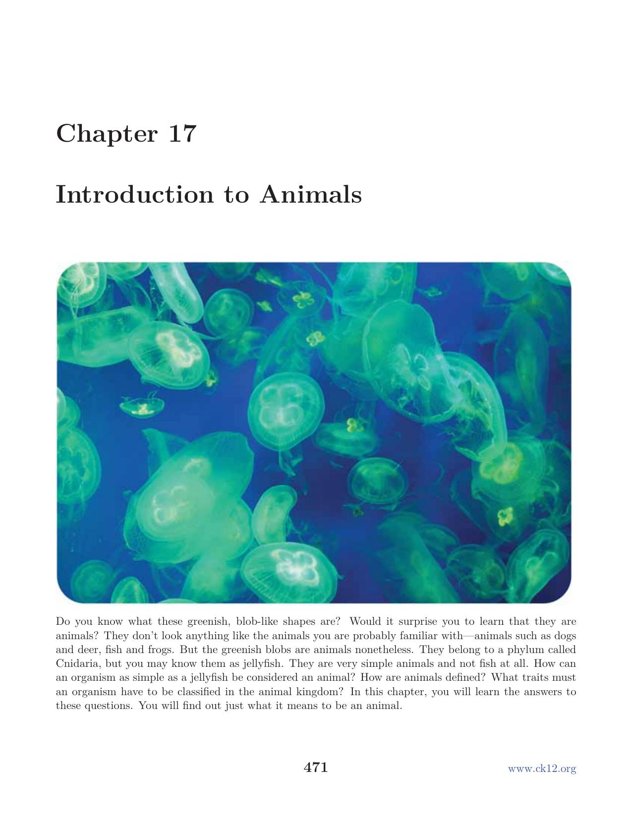 Biology Chapter17
